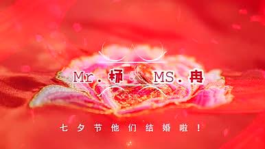 浪漫七夕情人节红色PR模板视频的预览图